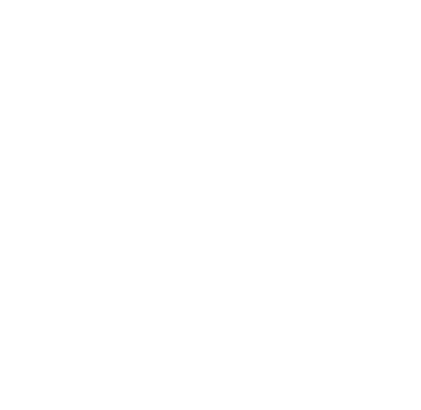GoVi Capital Logo